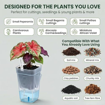 20 Pack Self-Watering Pots, 2 & 2.5 Inch Nursery Planters