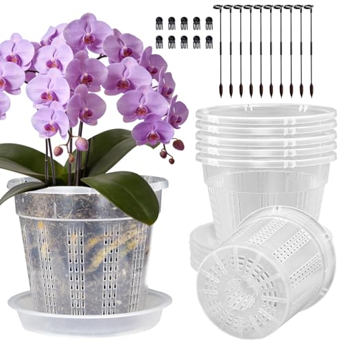 Orchid Pot with Saucers, 6 Pack 6.1" Orchid Pots with Holes and 10Pcs Plant Stakes, Clear Plastic Flower Plant Pot for Indoor Outdoor Plants(6 Pack 6.1" + Saucers) - style: 6 Pack 6.1" + Saucers