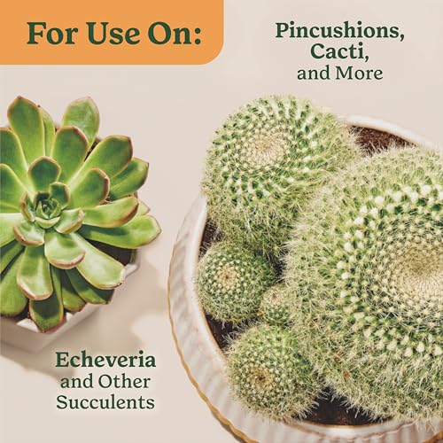Miracle-Gro Indoor Plant Food for Cactus & Succulent, 8 fl. oz. (2-Pack) - style: Cactus & Succulent