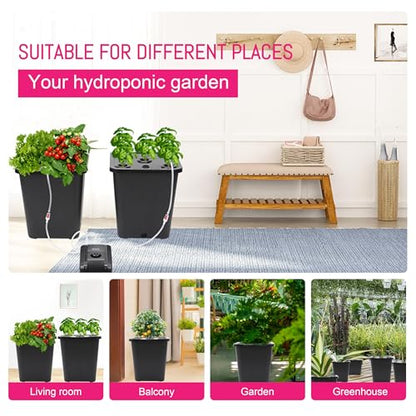 DWC 2 Hydroponic Buckets Kit for Plants, Hydroponics Growing System for Herbs/Tomato/Vegetables, DWC System with Air Pump & Germination Tray (Complete Indoor Hydroponic Gardening Supplies) (Black) - size: 2 Bucket Kit (Black)