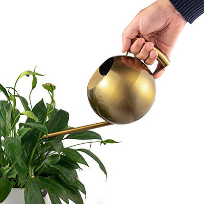 IMEEA Watering Can for Indoor Plants 45oz/1.3L Stainless Steel Small Indoor Watering Can House Plants - color: 45oz