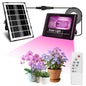 Loscarol Solar Grow Light, Full Spectrum Plant Light with Timer & Remote