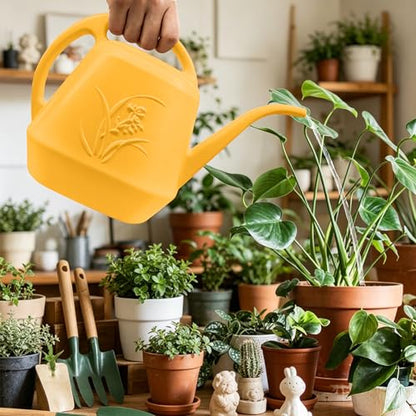 Watering Can - with Long Spout - 1 Gallon - Orange - color: Orange