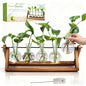 Renmxj Plant Propagation Stations with Wooden Stand & 5 Glass Bulb Vases - size: 5 Bulb Vase
