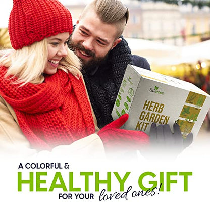 Herb Garden Starter Kit - 8 USA Culinary Herbs - color: 8 Herb