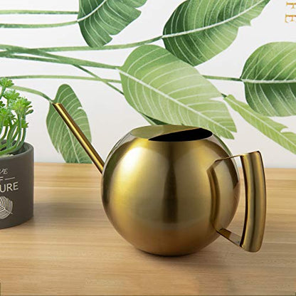 IMEEA Watering Can for Indoor Plants 45oz/1.3L Stainless Steel Small Indoor Watering Can House Plants - color: 45oz