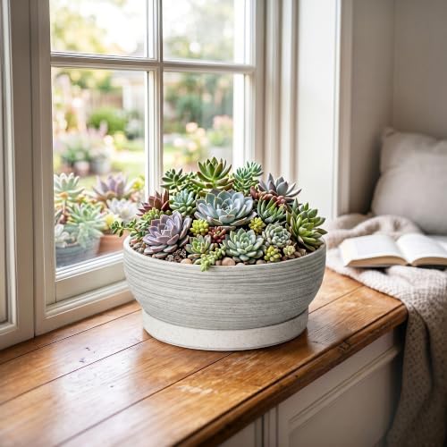Ceramic Bonsai Planter, 8 Inch Succulent Pot with Tray, Brushed Grey - color: Brushed Grey, size: 8 Inch