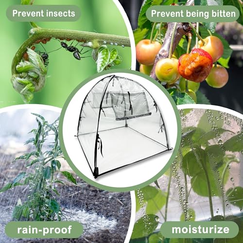 Plant Tent Cover Freeze Protection for Winter Plants Clear 36" x 36" x 38" - size: 36" x 36" x 38"
