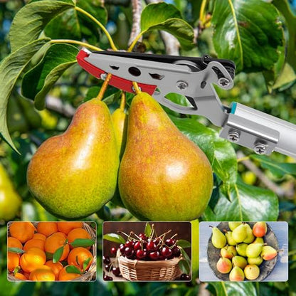 GARTOL 32 Inch Cut and Hold Pole Pruner - Lightweight Long Reach Tree Trimmer with Snip and Grip Technology, 1/2 Inch Cutting Capacity, One-Hand Use Fruit Picker for Roses, Persimmons & Tall Branches