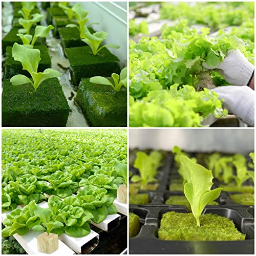 Legigo 1 Inch Rockwool Cubes Seed Starter Plugs for Hydroponics, 100 Plugs - color: 2 Sheet, size: 1" Plugs