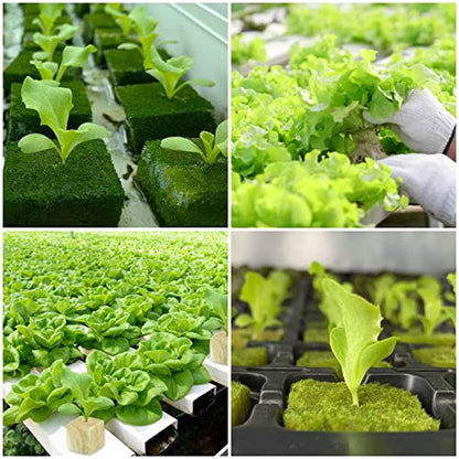 Legigo 1 Inch Rockwool Cubes Seed Starter Plugs for Hydroponics, 100 Plugs - color: 2 Sheet, size: 1" Plugs