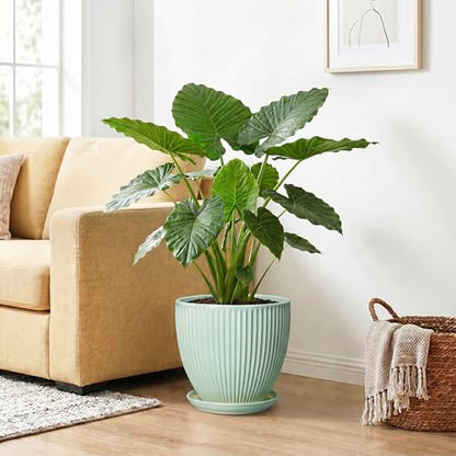 10 Inch Planter Indoor, Ceramic Pots with Saucer, Mint Green - color: Mint Green, size: 10 Inch