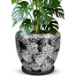 Ceramic Plant Pots With Saucer & Drainage Hole, 6 inch Indoor Flower Pots - color: Gray, size: 10 inch