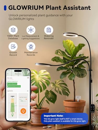 GLOWRIUM Grow Lights for Indoor Plants,Full Spectrum Plant Light with Stand - color: Black-Double Head