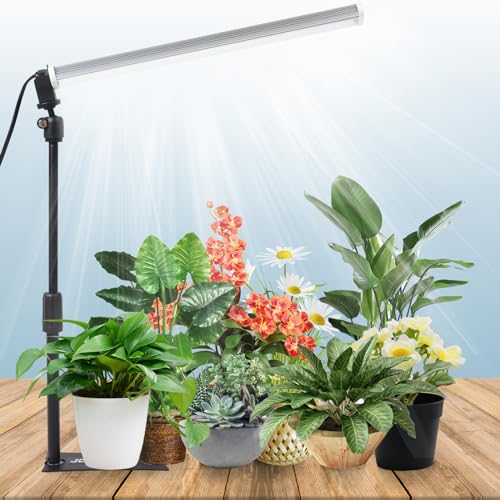Standing LED Grow Light，Adjustable T12 Bar Plant Light, White 6500K Full Spectrum Plant Grow Lamp on Stand for Indoor Plants Seed Starting, Seedlings, Veg, Flower - size: T12 Single Head