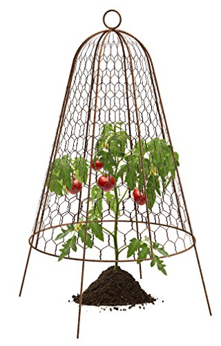 20" X 14" Dia. Garden Cloche Plant Protector Bell, Rust