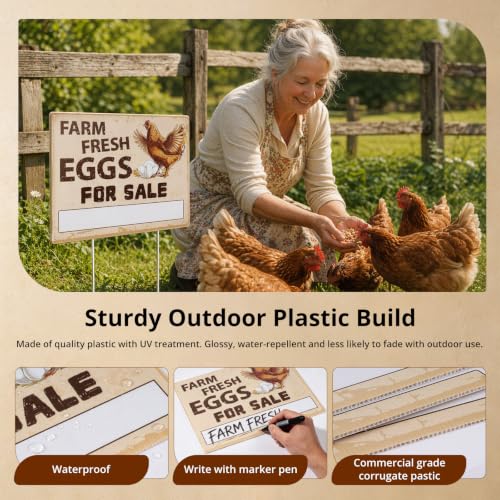 Eggs for Sale Sign Double Sided Farm Fresh Eggs Sign