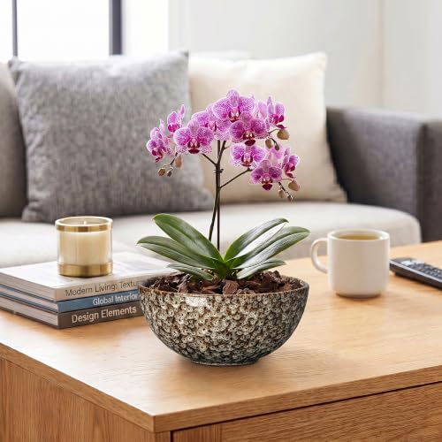 Bowl Planter, 8 Inch Ceramic Succulent Pots, White Leopard - color: White Leopard-1, size: 8 Inch