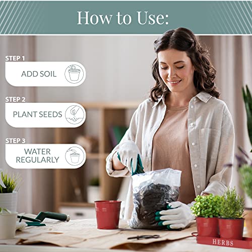 Barnyard Designs Indoor Herb Garden Planter Pots Set/3 (Brick Red) - color: Brick Red