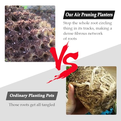 RooTrimmer Air Pruning Planters 5 Gallon 6-Pack, Sturdy Plastic Roots Control Planter Container for Fruit Vegetable Garden Orchard, Size 12"x12",Black - size: 5 Gallon-6P