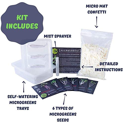 Mountain Valley Seed Co Self Watering Indoor Microgreens Kit - Hydroponic - size: Hydroponic