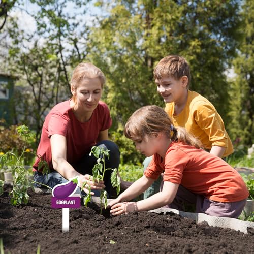 60pcs Vegetable Plant Label Signs Waterproof Fruit Plant Tag