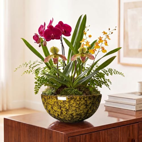 Succulent Pots, 10 Inch Ceramic Bonsai Pots, Yellow Leopard - color: Yellow Leopard-1, size: 10 Inch