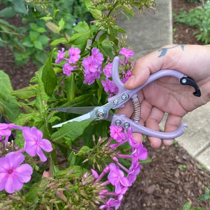 Modern Sprout Pruning Shears - Garden Snips - Herb Scissors - Multi 4-Pack - color: Multicolor - 4pcs