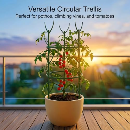 10-Pack Monstera Plant Support Stakes - Stackable Sticks
