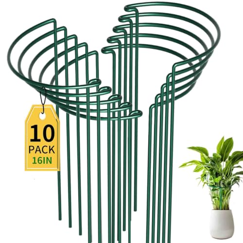 TCBWFY 10 Pack Garden Plant Support Stakes,10" Widex16 High Heavy Duty Interlinked Half Round Peony Support Ring Cage for Indoor Outdoor Plants,Plant Supports for Peony,Tomato,Hydrangea,Rose - size: 10"Dx16"H-10pcs