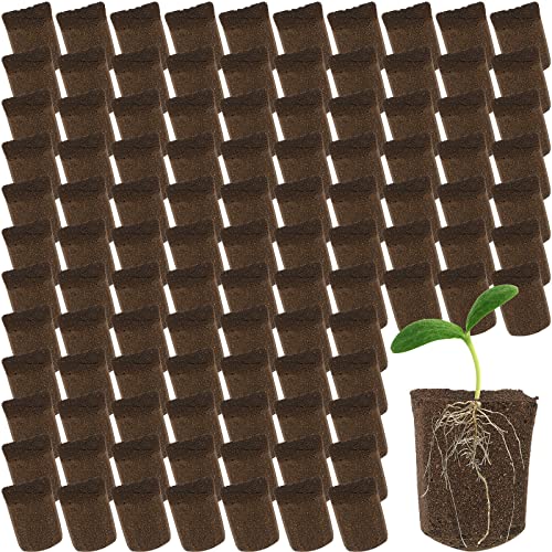 Amyhill Hydroponic Sponges Grow Starter Pods Organic Growth Sponge Starter Plugs for Plant Cloning Growing (200 Pieces)