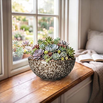 Bowl Planter, 8 Inch Ceramic Succulent Pots, White Leopard - color: White Leopard-1, size: 8 Inch