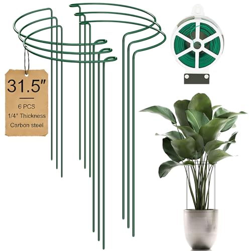 6-Pack 31.5” Plant Support Stakes, Steel Plant Cage & Peony Tomato Hydrangea Cage, Garden Stakes for Outdoor Plants, Heavy-Duty Plant Stakes, 16.7” Support + 14.8” Extension Tubes - size: 31.5in