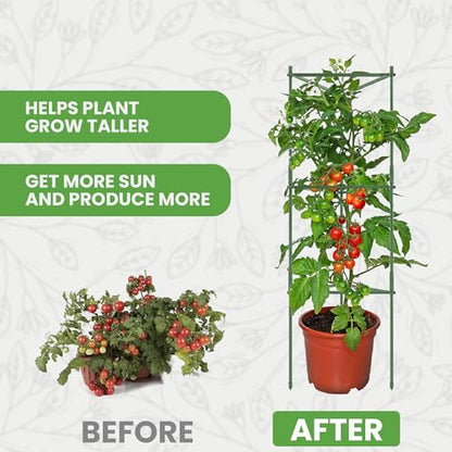 1 Pack 48" Tomato Cages for Garden - Large Tomato Plant Support Trellis - size: 1 Pack, 48 Inches