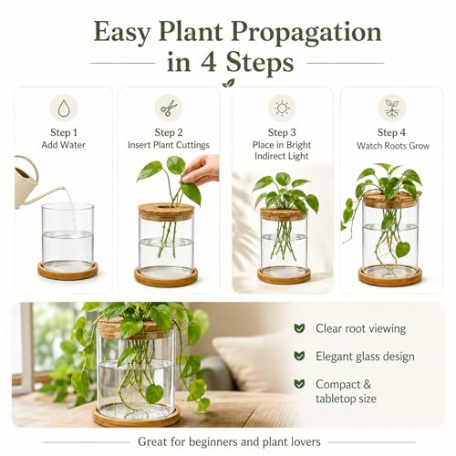 Glass Plant Propagation Stations, 2PCS
