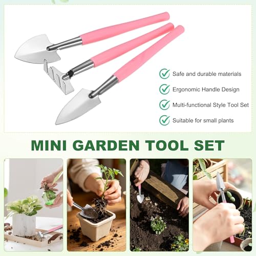 M METERXITY 2-Set Mini Gardening Tools, Stainless Steel Miniature Gardening Rake, Trowel, and Shovel for Seedlings/Bonsai/Succulents/Herbs/Terrariums and Planting [Pink/Green] - color: Pink/Green