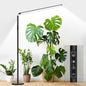STERREN Plant Floor Lamp for Indoor Plants, Full Spectrum Grow Light - color: Black