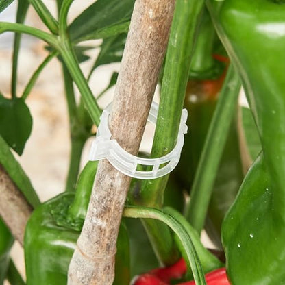 100 Pcs Plant Support Clips,Plastic Clips for Securing Plants - color: White