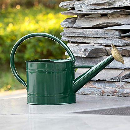 1.3 Gallon Jade Green Metal Watering Can, Removable Spout - color: Green, size: 1.3 Gallon
