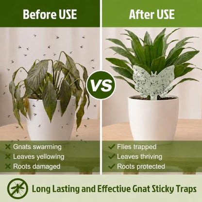 100 Pack Gnat Traps, Double Sided Plant Sticky Traps for Indoor Bug, Clear - color: Clear