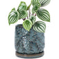 D'vine Dev Embossed Leaves Ceramic Planter, 6 in, Ocean Teal, 27-A-X-8 - color: Ocean Teal, size: 6 Inch