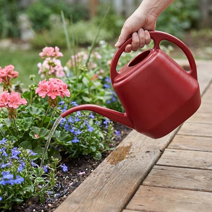 Fasmov Plastic Watering Can, Burnt Red, 1-Gallon