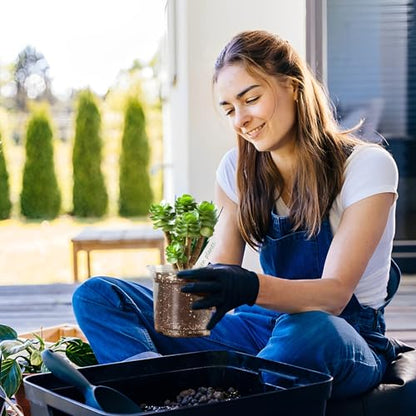 30Pack 3/4/5" Clear Nursery Pots with Drainage - size: 3/4/5Inch