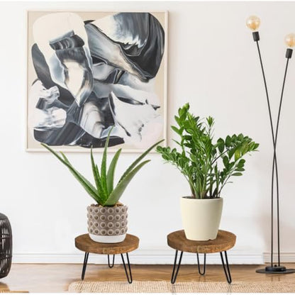 OBTAIN Plant Stand Indoor Outdoor, Wooden plant Stool, Mid Century Plant Stand for Indoor Plants, Wood Modern Plant Holder Rattan Flower, Low Short Boho Rustic Planter Stand Fit 5-15 Inch Pot(M) - size: Medium