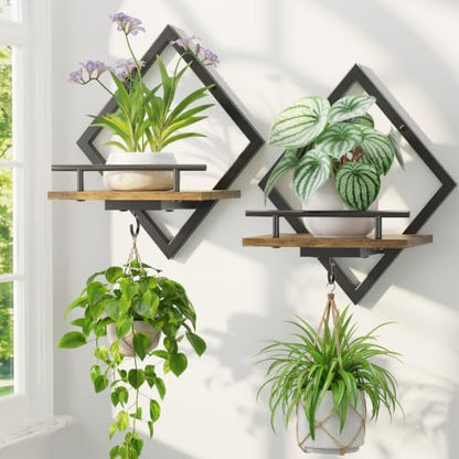 LASZOLA Plant Picture Frame Holder Shelf Wall Window Indoor, 2 Pcs Brown - color: Antique Black+Brown, size: 2