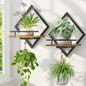 LASZOLA Plant Picture Frame Holder Shelf Wall Window Indoor, 2 Pcs Brown - color: Antique Black+Brown, size: 2