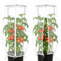 2PCS Round Strawberry and Tomato Trellis Garden Bird Netting
