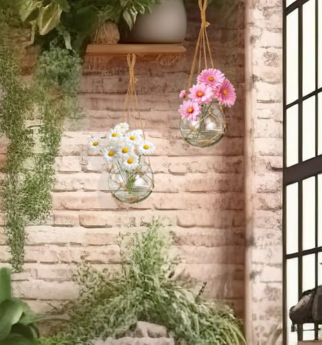 SAILINGSTORY Hanging Glass Plant Terrarium 5" Clear Set of 2 Pack