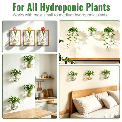 NUPTIO Glass Wall Hanging Planters: Clear Terrarium for Living Room, 12 Pcs - size: 12 Pcs