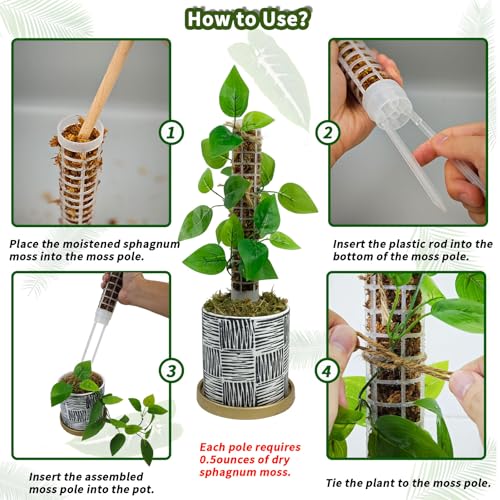 Small Moss Pole for Monstera - Stackable & Refillable Plastic Moss Poles for Climbing Plants with Large Mesh Design (2Pack-White-Small) - size: 2Pack-White-Small